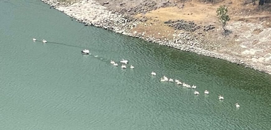 Departamentos de Lujo con Vista a la Presa Madín – San Miguel Kristal Towers, CDMX