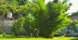 Quinta en Venta en Berriozábal, Chiapas | Inversión con Potencial