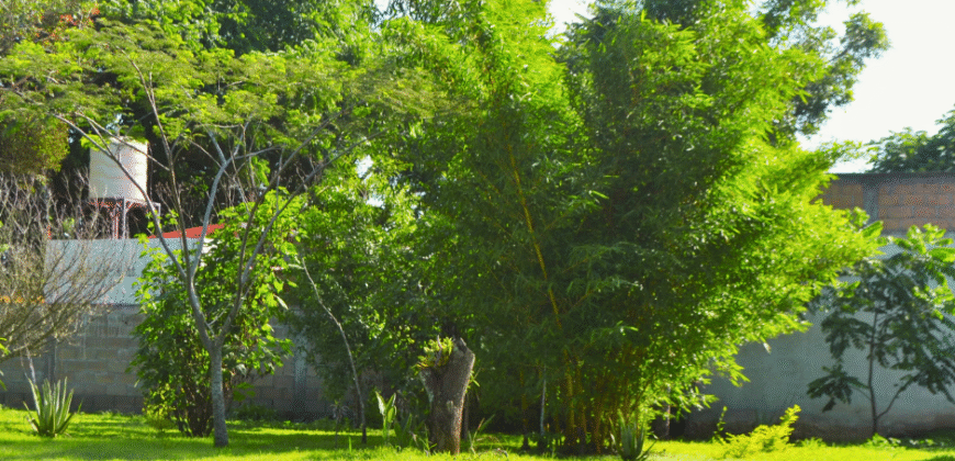 Quinta en Venta en Berriozábal, Chiapas | Inversión con Potencial