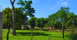 Quinta en Venta en Berriozábal, Chiapas | Inversión con Potencial