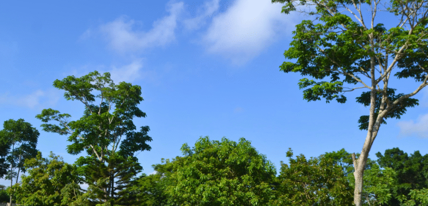 Quinta en Venta en Berriozábal, Chiapas | Inversión con Potencial