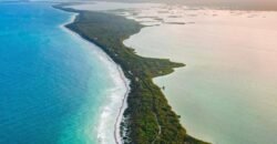 Terreno Frente al Mar y Laguna en la Reserva de Sian Ka’an – 2,180 m² Escriturado