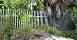 Terreno Frente al Mar y Laguna en la Reserva de Sian Ka’an – 2,180 m² Escriturado