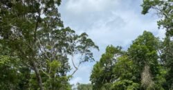 Lotes Residenciales en Venta – Uh May, Tulum | Desde $240,240 MXN