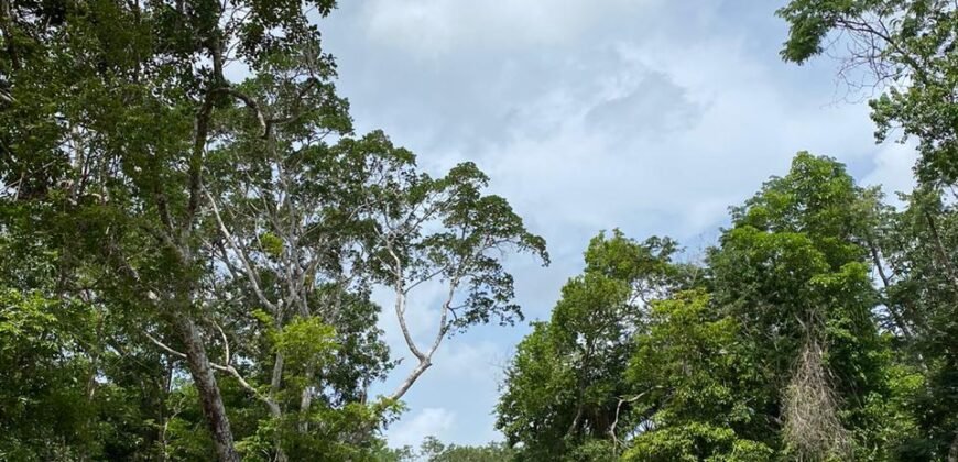 Lotes Residenciales en Venta – Uh May, Tulum | Desde $240,240 MXN