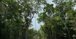 Lotes Residenciales en Venta – Uh May, Tulum | Desde $240,240 MXN