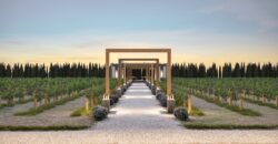 Tu Oportunidad de Inversión en el Corazón Vitivinícola de Coahuila!