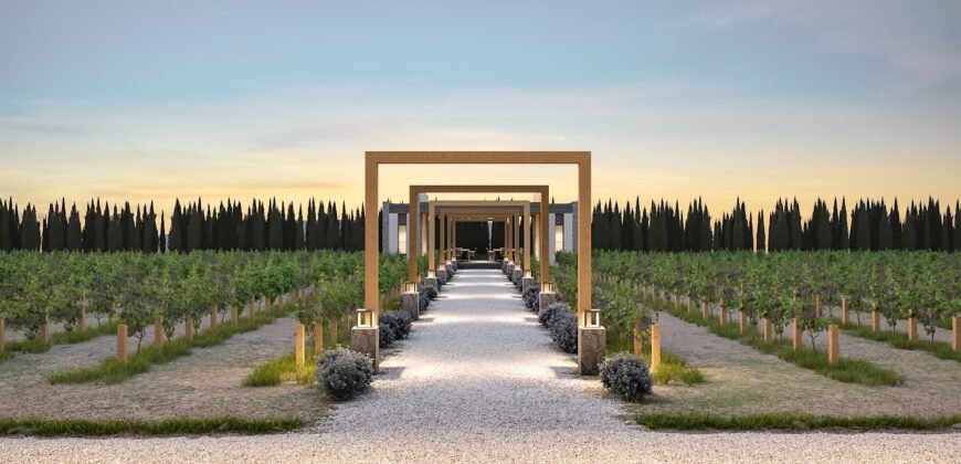 Tu Oportunidad de Inversión en el Corazón Vitivinícola de Coahuila!