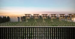 Tu Oportunidad de Inversión en el Corazón Vitivinícola de Coahuila!