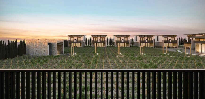 Tu Oportunidad de Inversión en el Corazón Vitivinícola de Coahuila!