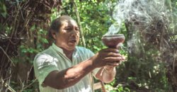 Terreno con Vocación Hotel, Casa o Comercial