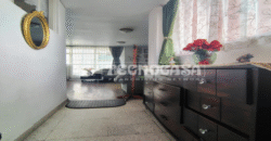 San Borja Vertiz Narvarte