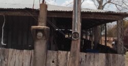 OPORTUNIDAD DE INVERSIÓN ÚNICA EN EL CORAZÓN DE LA GANADERÍA TABASQUEÑA