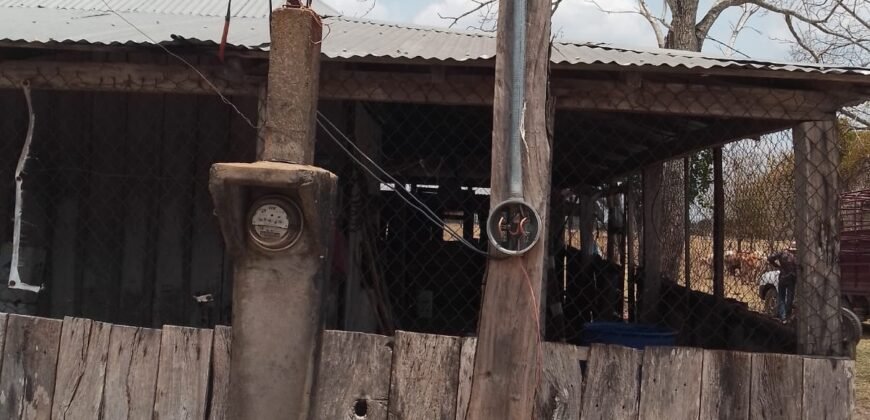 OPORTUNIDAD DE INVERSIÓN ÚNICA EN EL CORAZÓN DE LA GANADERÍA TABASQUEÑA