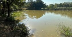 OPORTUNIDAD DE INVERSIÓN ÚNICA EN EL CORAZÓN DE LA GANADERÍA TABASQUEÑA