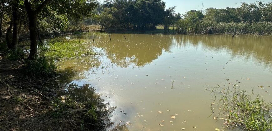 OPORTUNIDAD DE INVERSIÓN ÚNICA EN EL CORAZÓN DE LA GANADERÍA TABASQUEÑA