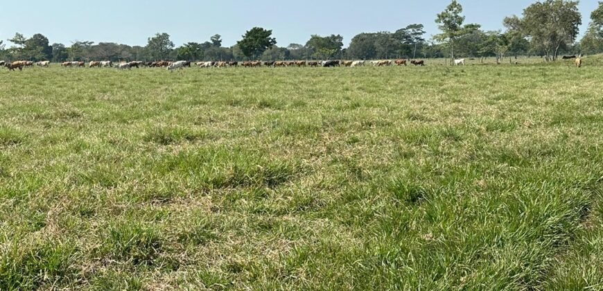 OPORTUNIDAD DE INVERSIÓN ÚNICA EN EL CORAZÓN DE LA GANADERÍA TABASQUEÑA