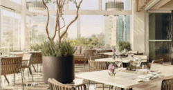 ¡CONOCE GIRASOL, UBICADO EN LA VIBRANTE COLONIA CONDESA!