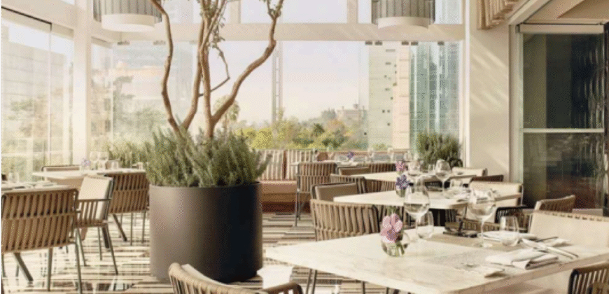 ¡CONOCE GIRASOL, UBICADO EN LA VIBRANTE COLONIA CONDESA!