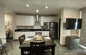 Departamento en Renta Torre Puntacero