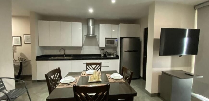 Departamento en Renta Torre Puntacero