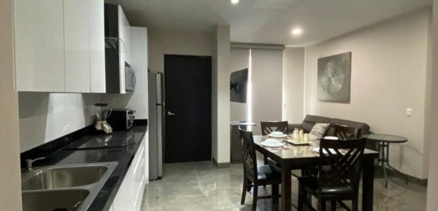 Departamento en Renta Torre Puntacero