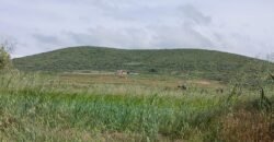 Venta Terreno en Santa Mónica, Epazoyuca, Hidalgo