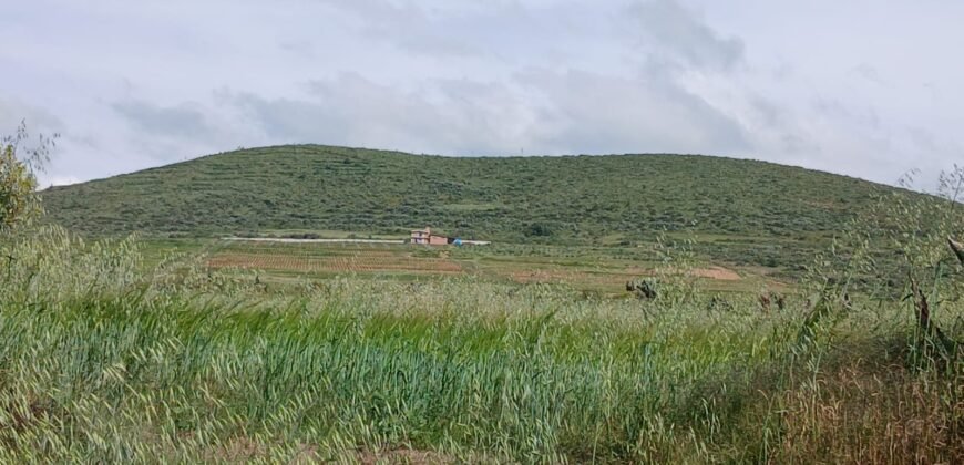 Venta Terreno en Santa Mónica, Epazoyuca, Hidalgo