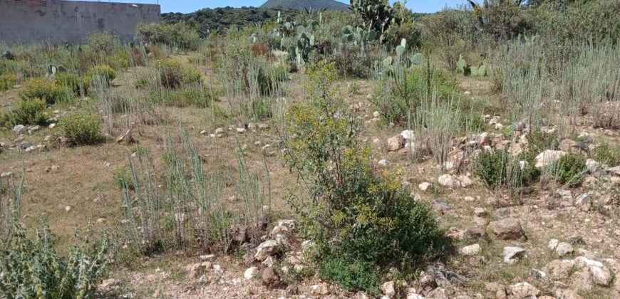 Venta Terreno en Santa Mónica, Epazoyuca, Hidalgo