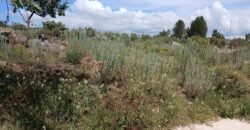 Venta Terreno en Santa Mónica, Epazoyuca, Hidalgo