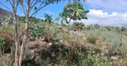 Venta Terreno en Santa Mónica, Epazoyuca, Hidalgo