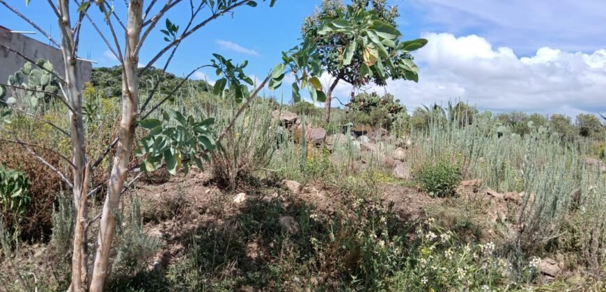 Venta Terreno en Santa Mónica, Epazoyuca, Hidalgo