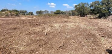 ¡Tu Hogar en El Jaral te Espera!