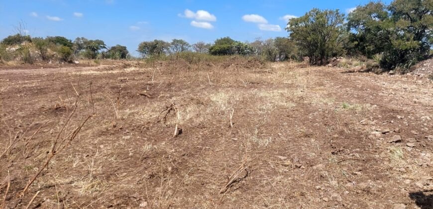 ¡Tu Hogar en El Jaral te Espera!