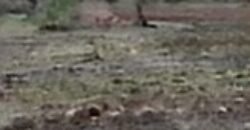 Oportunidad de Inversión: Macrolote Habitacional en Querétaro