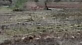 Oportunidad de Inversión: Macrolote Habitacional en Querétaro