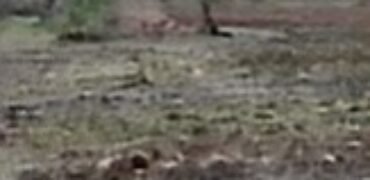 Oportunidad de Inversión: Macrolote Habitacional en Querétaro