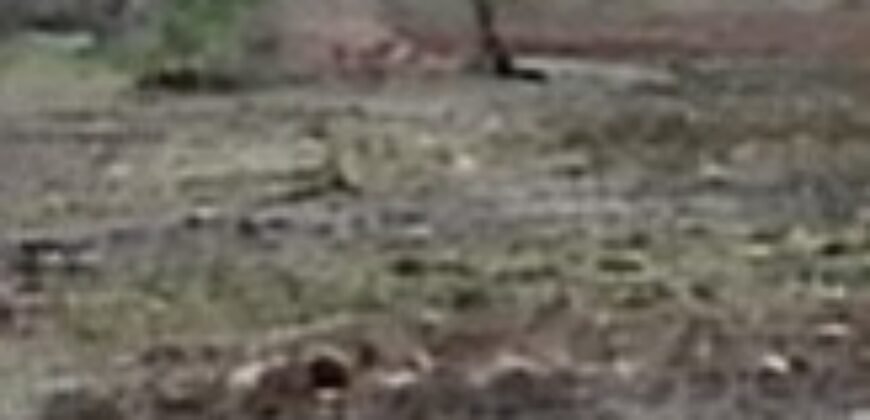 Oportunidad de Inversión: Macrolote Habitacional en Querétaro