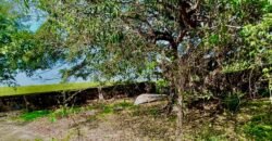 Tlachichilco Lakefront