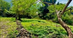 Tlachichilco Lakefront