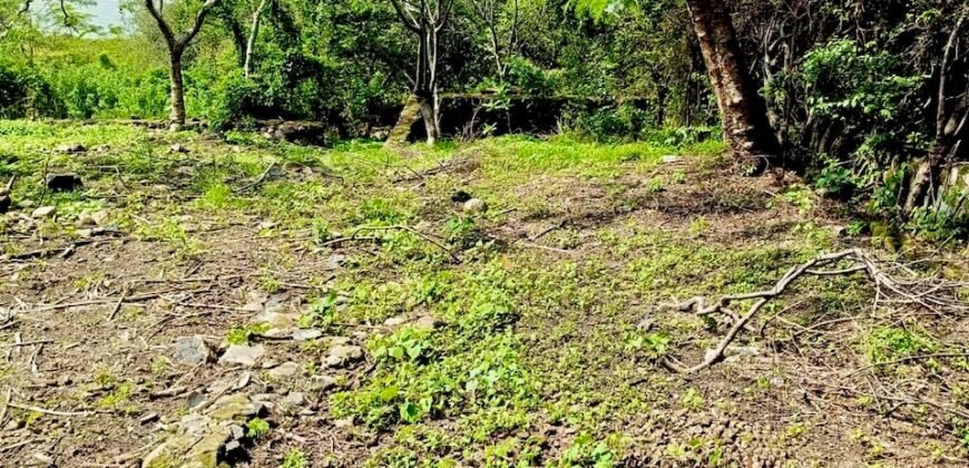 Tlachichilco Lakefront