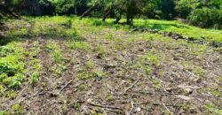 Tlachichilco Lakefront