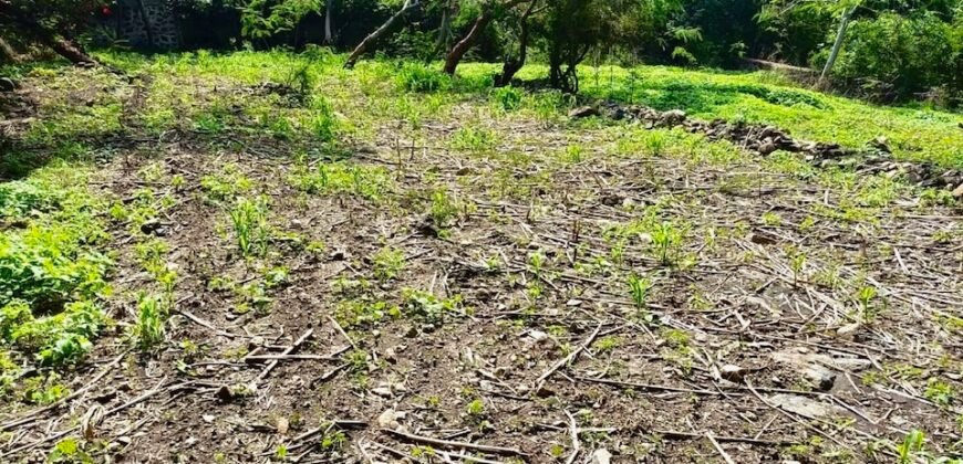 Tlachichilco Lakefront