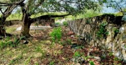 Tlachichilco Lakefront