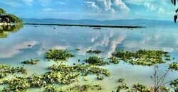 Tlachichilco Lakefront