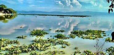 Tlachichilco Lakefront