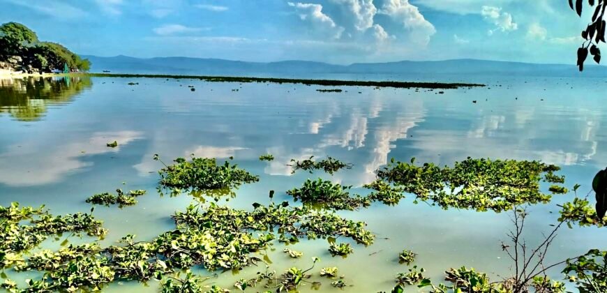 Tlachichilco Lakefront