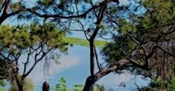 Tlachichilco Lakefront