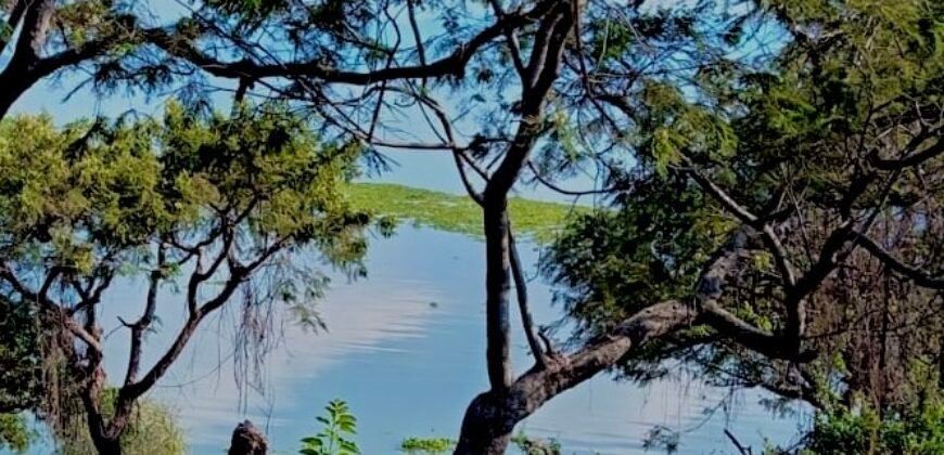 Tlachichilco Lakefront