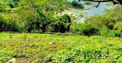 Tlachichilco Lakefront